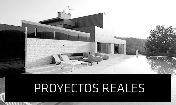 proyectos reales