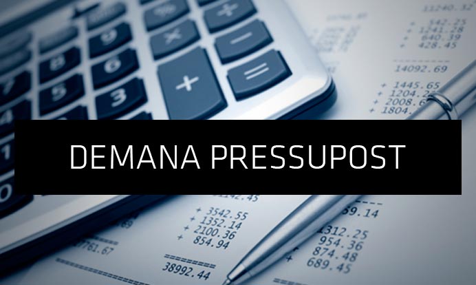 pide presupuesto
