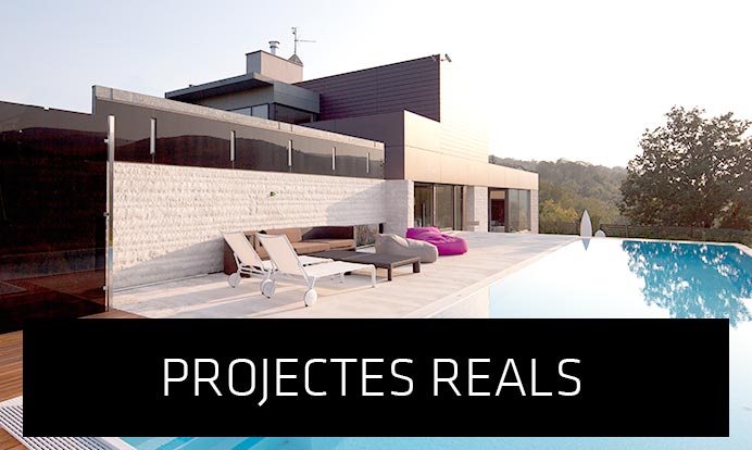 proyectos reales